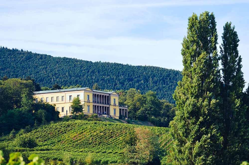 Pfalz-Dorfhaus Burrweiler Eksteriør billede